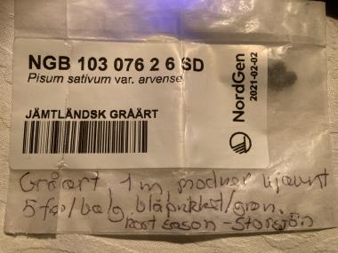 Billede af spire