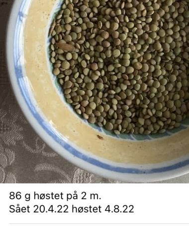 Billede af frø