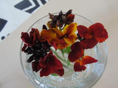 Billede af blomst
