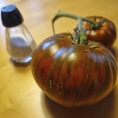 Billede af plante